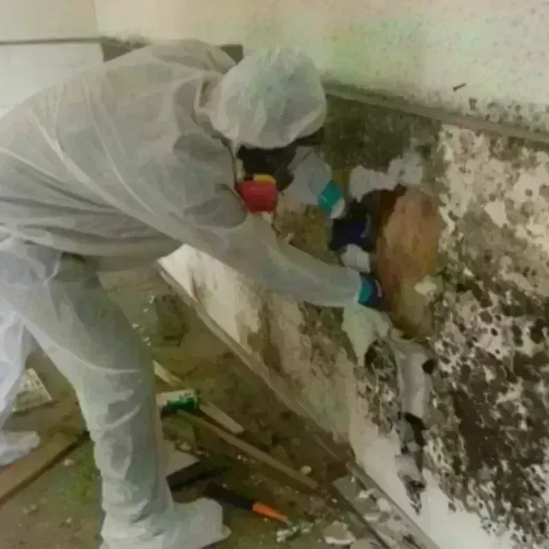 Mold Remediation and Removal in Carleton, MI