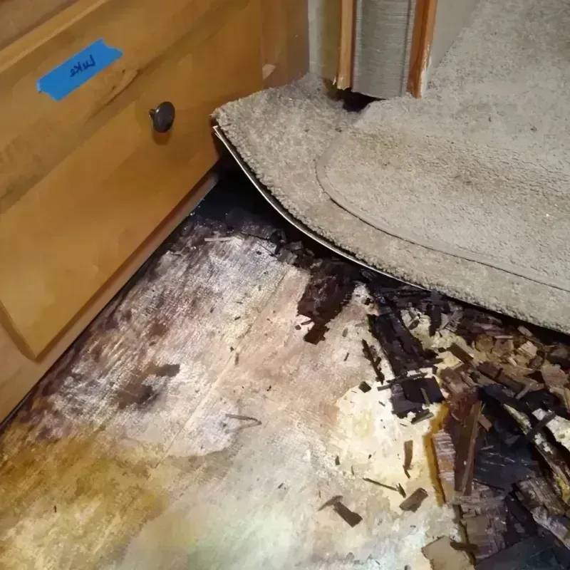 Wood Floor Water Damage in Carleton, MI